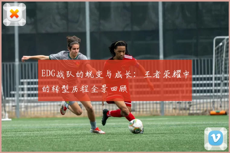 EDG战队的蜕变与成长：王者荣耀中的转型历程全景回顾