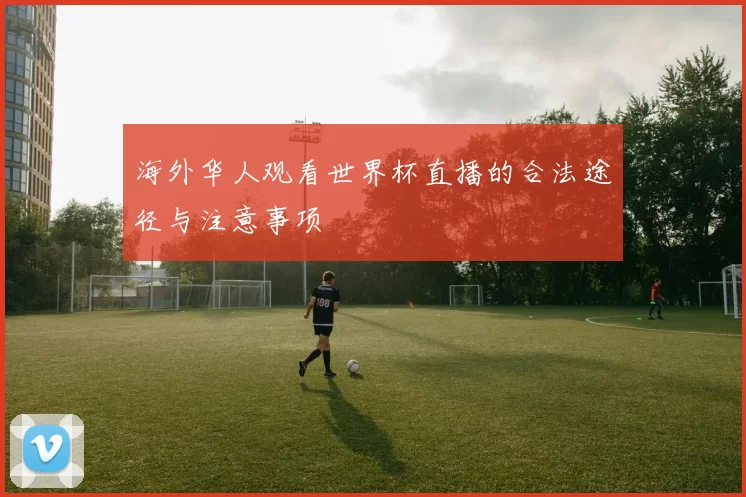 海外华人观看世界杯直播的合法途径与注意事项