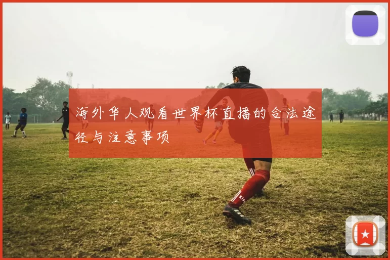 海外华人观看世界杯直播的合法途径与注意事项