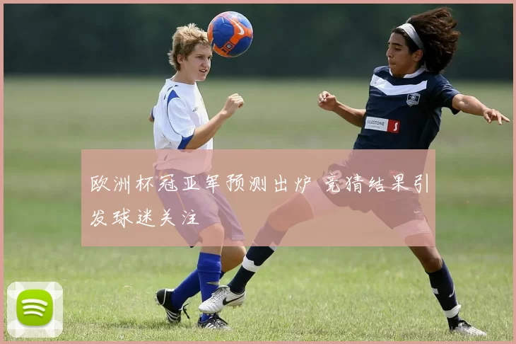 欧洲杯冠亚军预测出炉 竞猜结果引发球迷关注