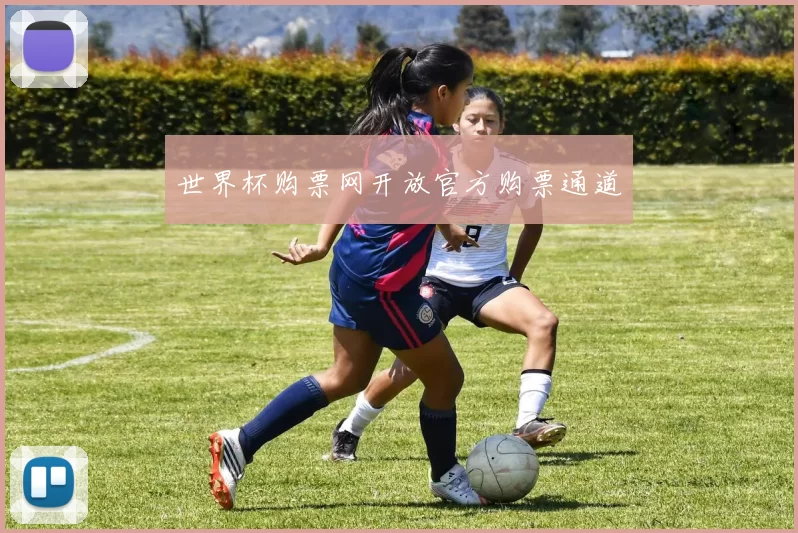 世界杯购票网开放官方购票通道