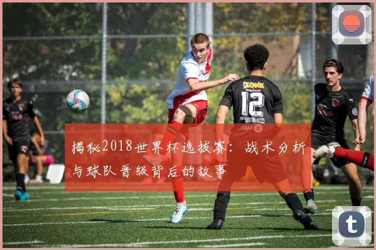揭秘2018世界杯选拔赛:战术分析与球队晋级背后的故事