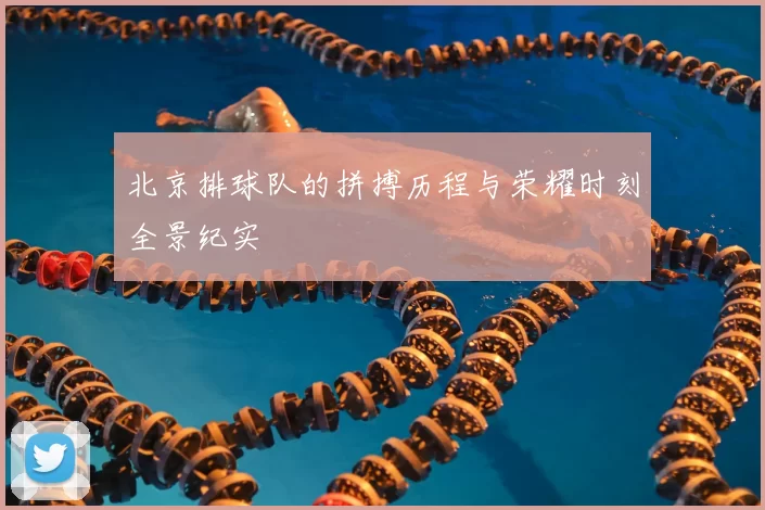 北京排球队的拼搏历程与荣耀时刻全景纪实