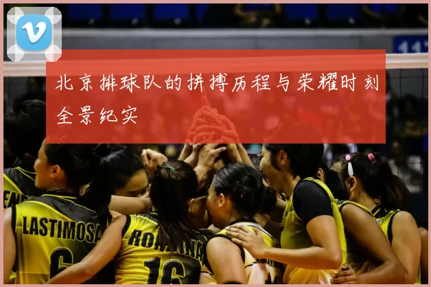 北京排球队的拼搏历程与荣耀时刻全景纪实