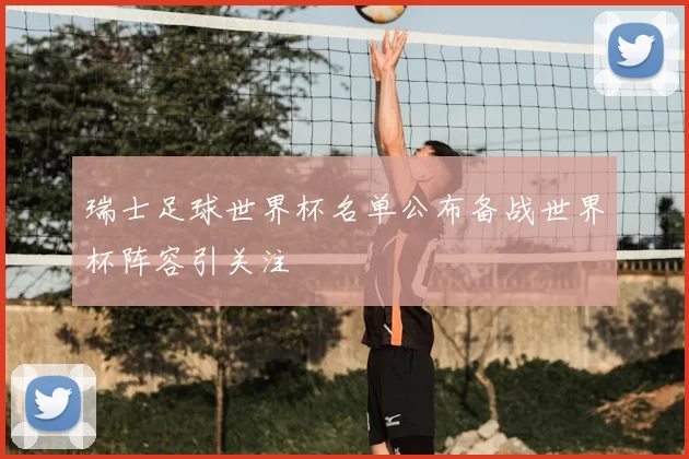 瑞士足球世界杯名单公布备战世界杯阵容引关注