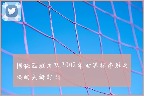 揭秘西班牙队2002年世界杯夺冠之路的关键时刻