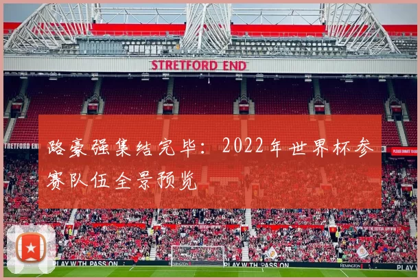 路豪强集结完毕:2022年世界杯参赛队伍全景预览