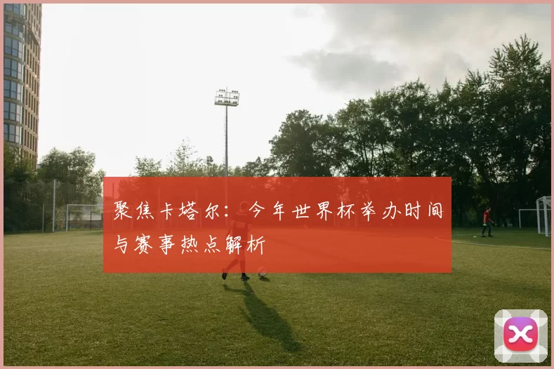 聚焦卡塔尔:今年世界杯举办时间与赛事热点解析